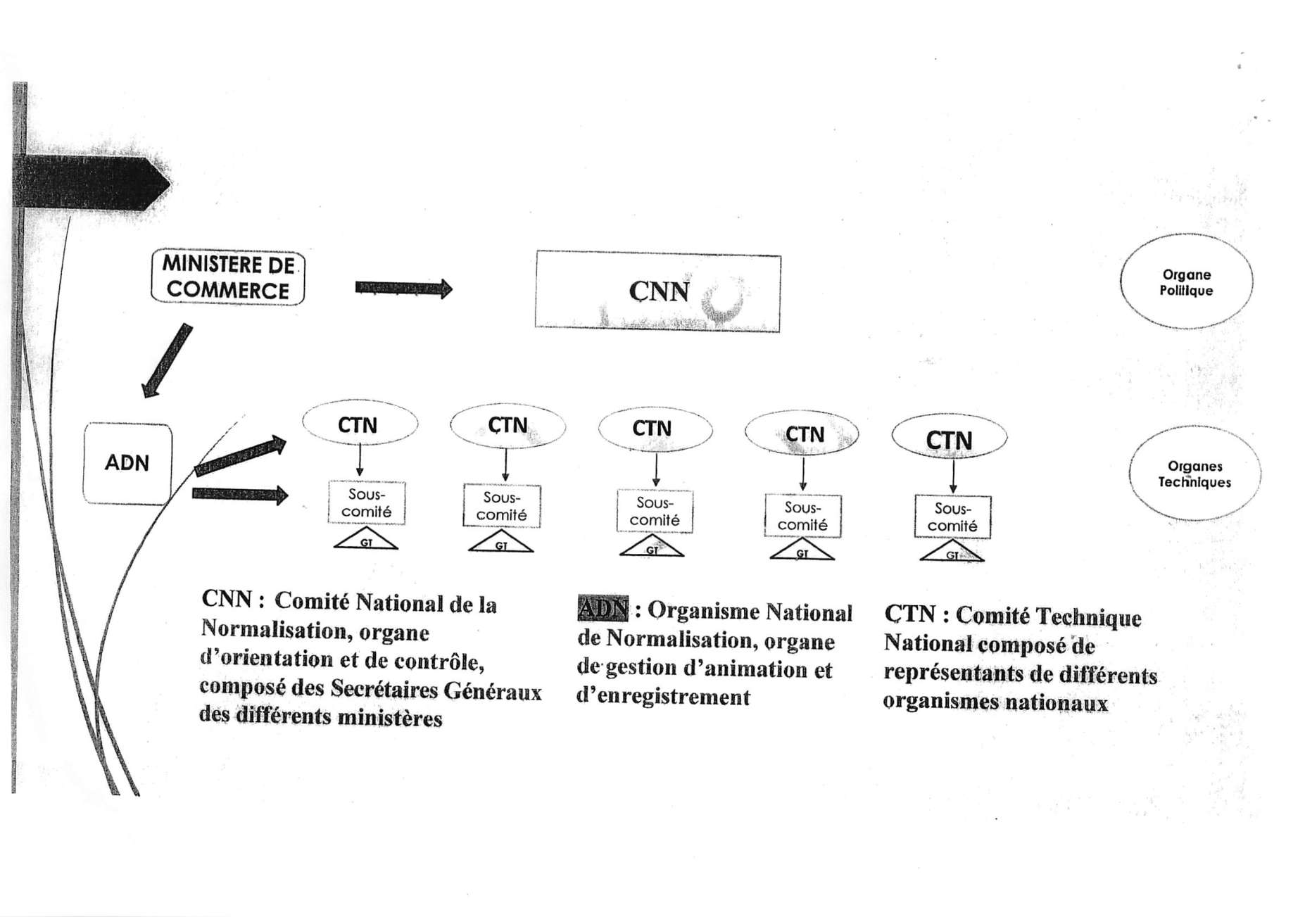 Original attached normalisation organisation chart, physical PDF page 1; reading rotation only, original arrows, labels and positions preserved