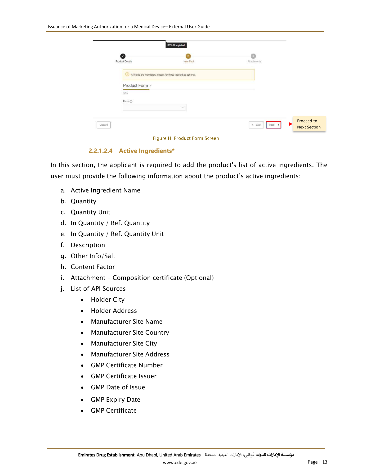 External User Guide — Issuance of Marketing Authorization for a Medical Device — original physical PDF page 13; full original layout and figures retained.